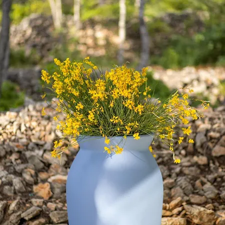 Nid Cache Врбоска