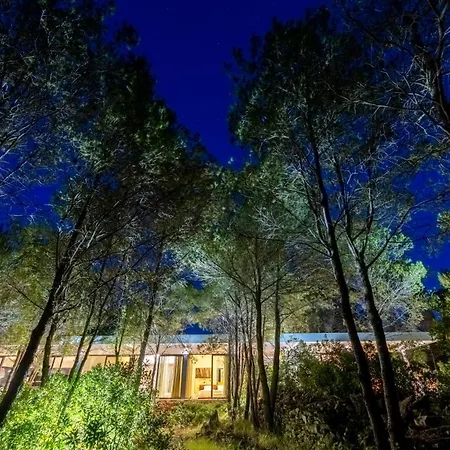 Nid Cache * Врбоска