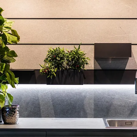 Nid Cache 브로보스카